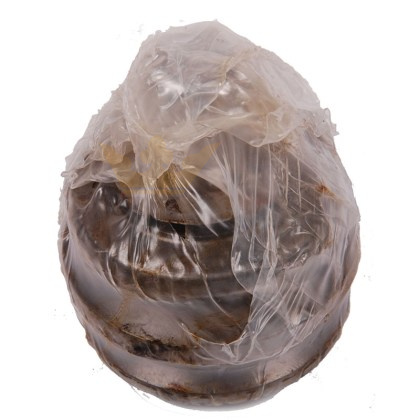 2279