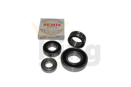 SEMIS